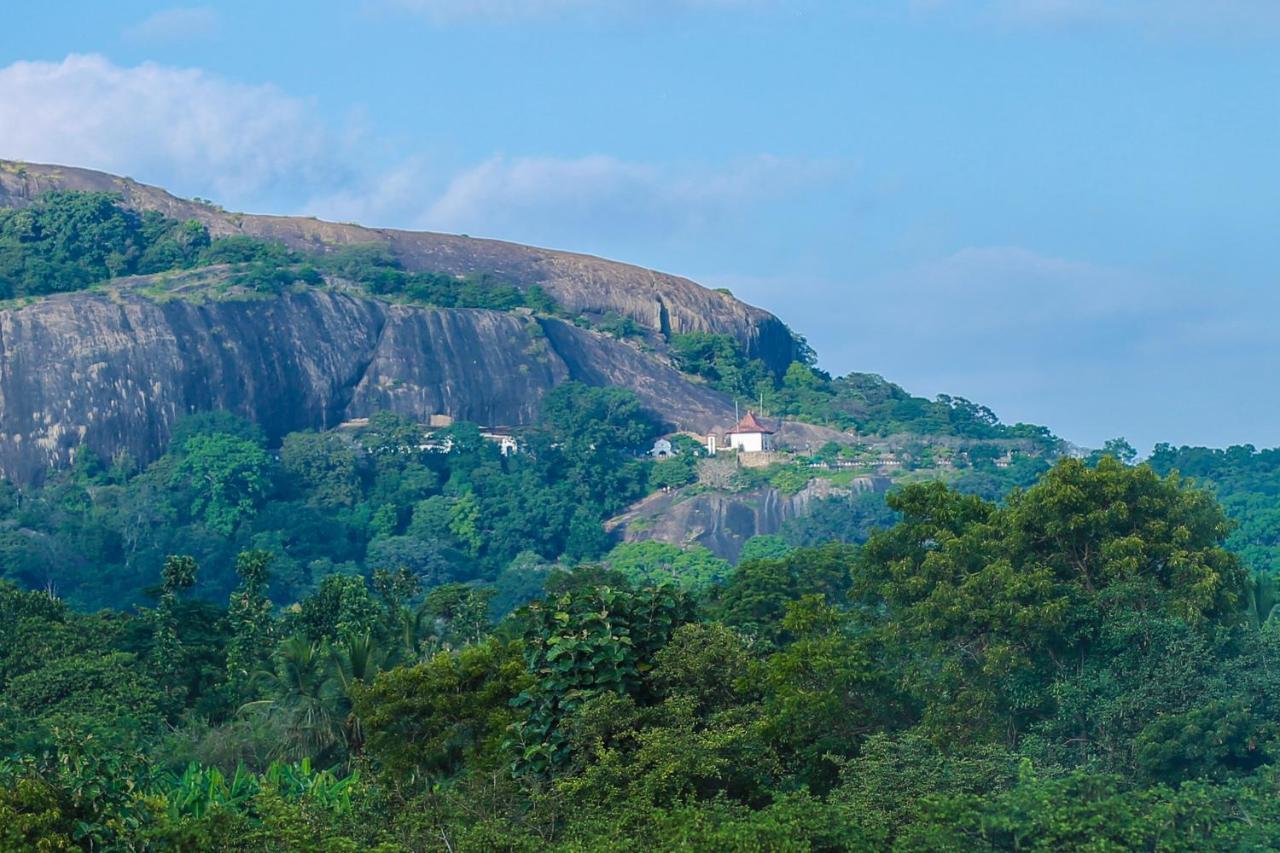 Tropical Life Resort And Spa Dambulla Exteriör bild